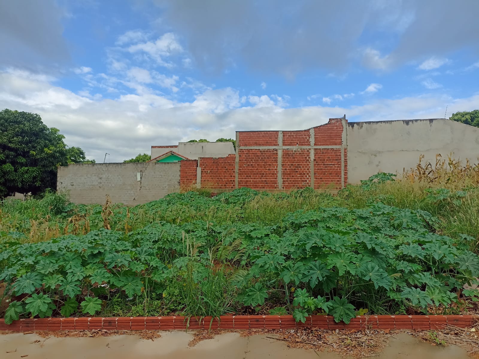 Ref: 240 - Terreno - Jardim Paraiso